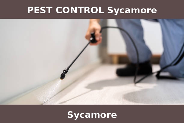 PEST CONTROL Sycamore